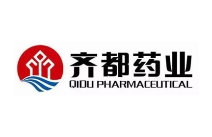 山东齐都药业有限公司